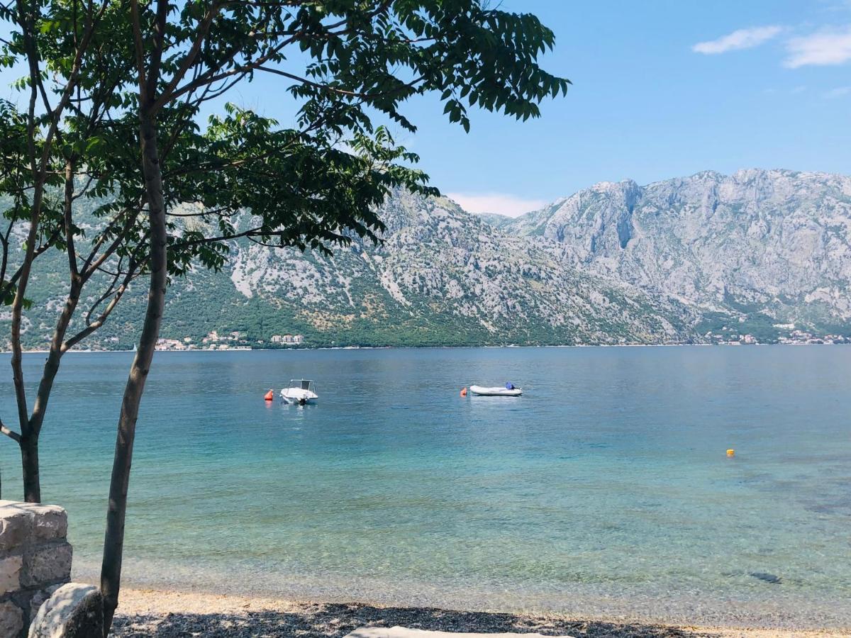 Villa Milami Kotor Exterior photo